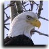Amazing Alaskan Photography
